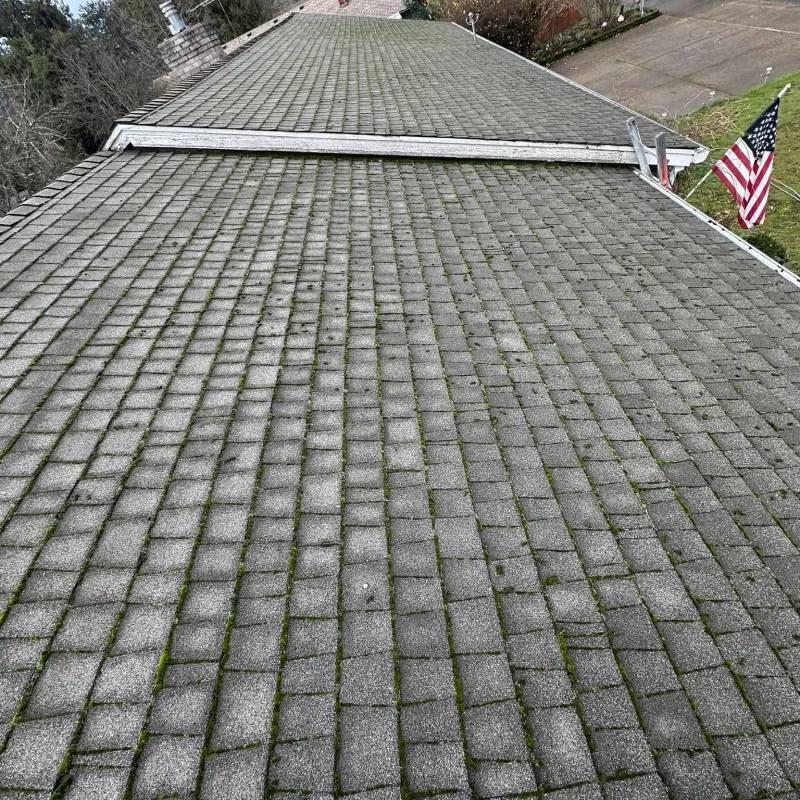 Moss Removal