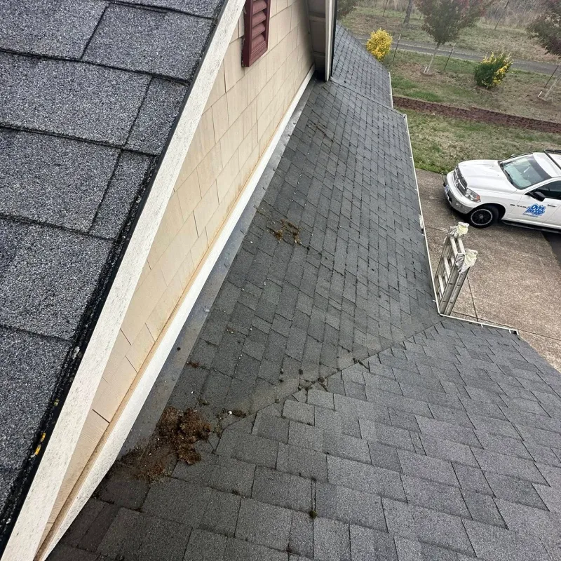 Soft Washing Services